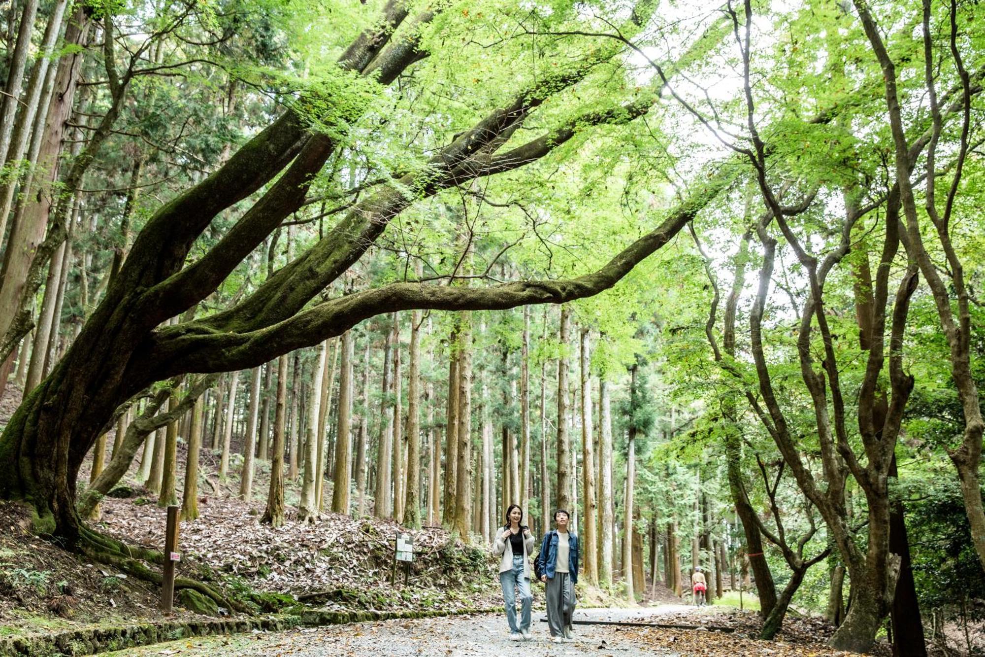 Ando Hotel Nara Wakakusayama -Dlight Life & Hotels- Kültér fotó